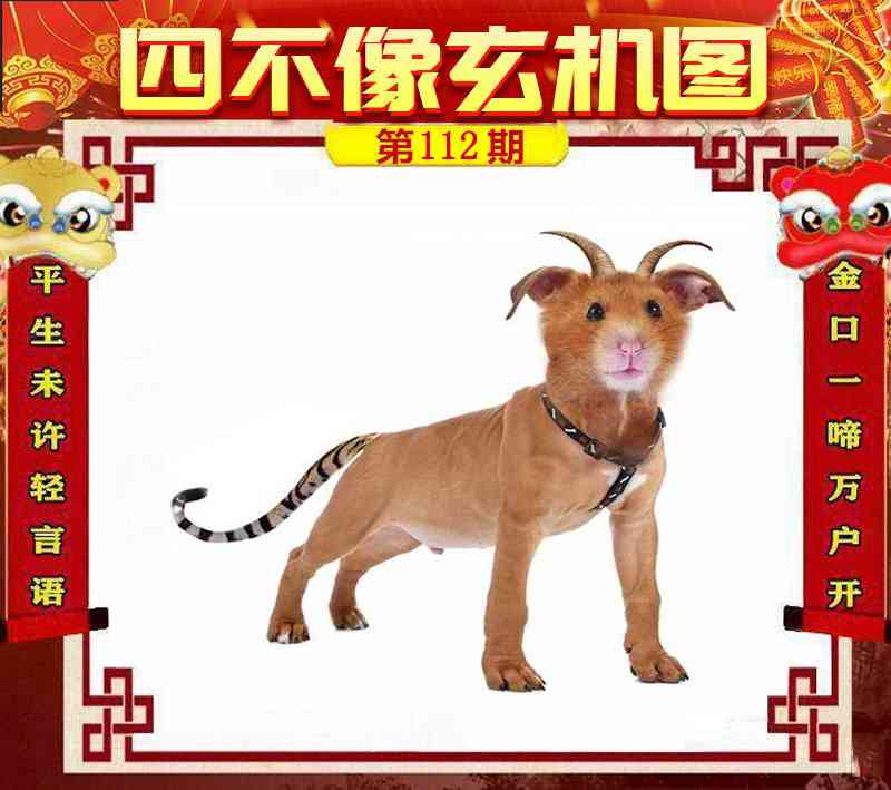 大话西游【四不像玄机】自动更新